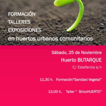 Sábado 25 de noviembre 11.30h huerto urbano comunitario Herto Butarque